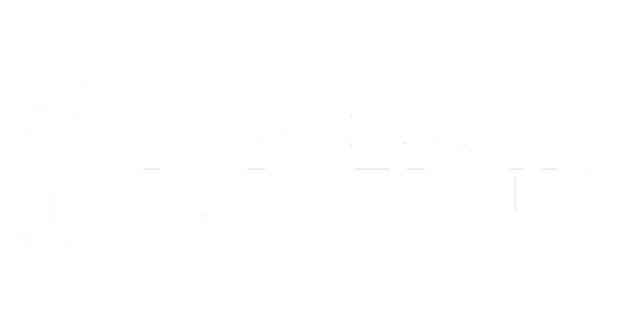 WEB- Universitat Barcelona BLANCO